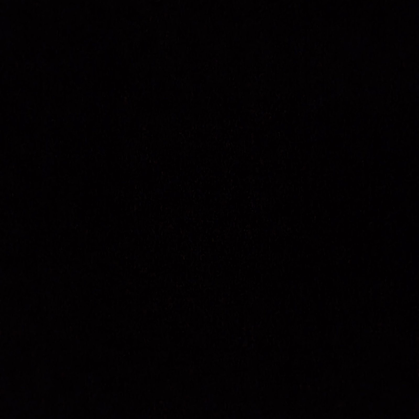 Gato Marrón en adopción (Rafael)