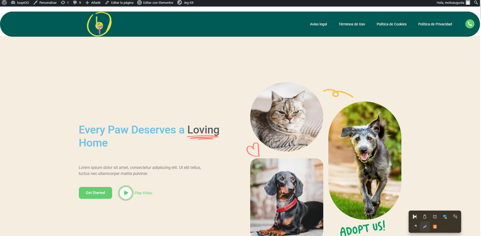 Perro Negro perdido en Camí de Muntanya, es Figueral - Can Farineta, Marratxí