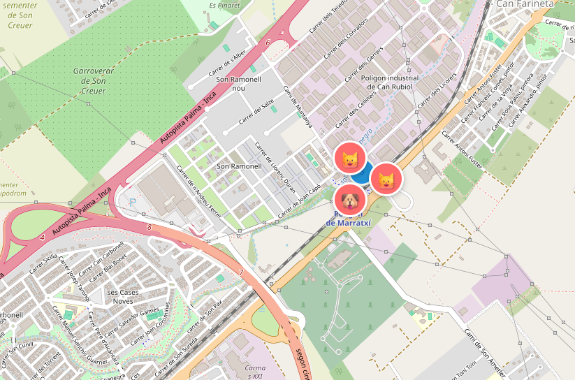 Perro Naranja perdido en Camí de Muntanya, es Figueral - Can Farineta, Marratxí