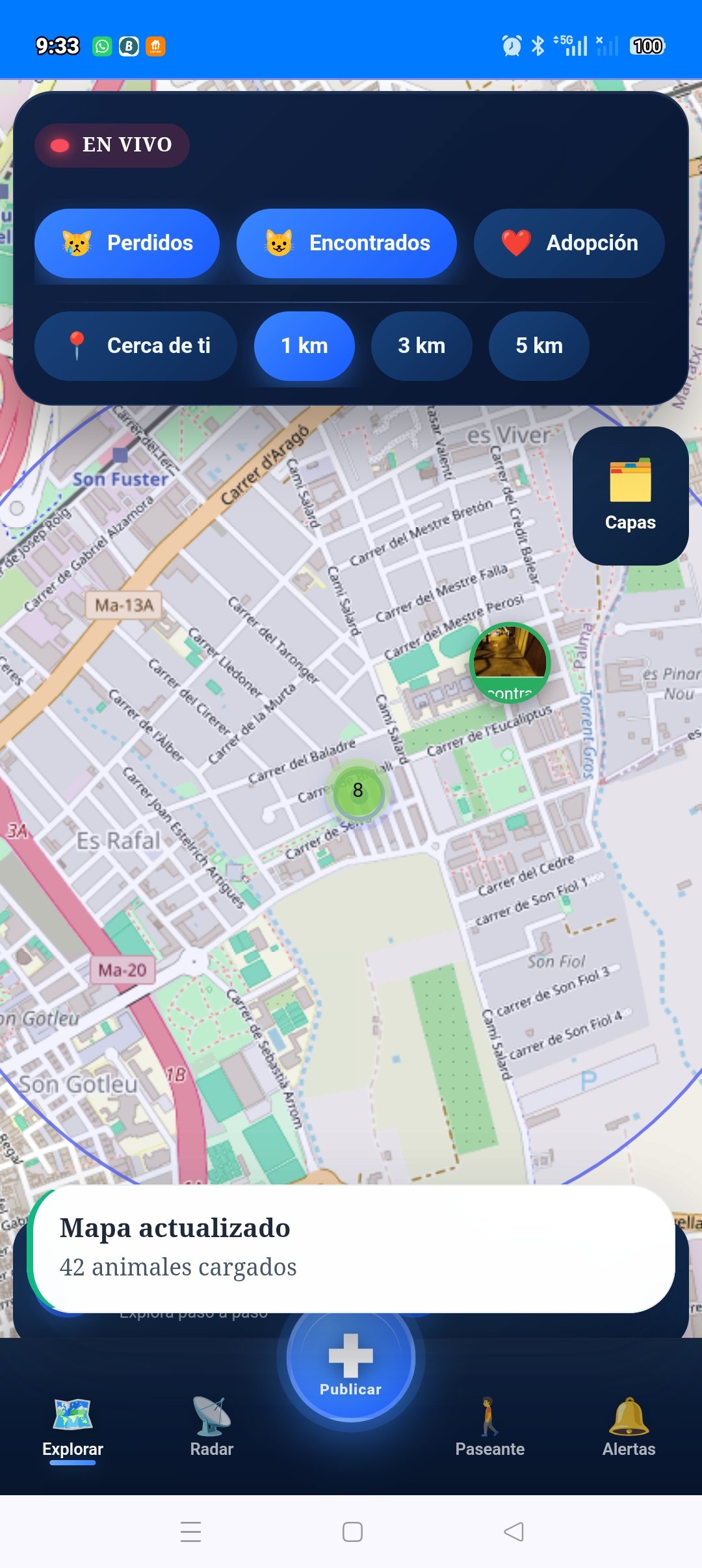 Perro Blanco perdido en Carrer d\'Anselm Turmeda 10, Bons Aires, Palma