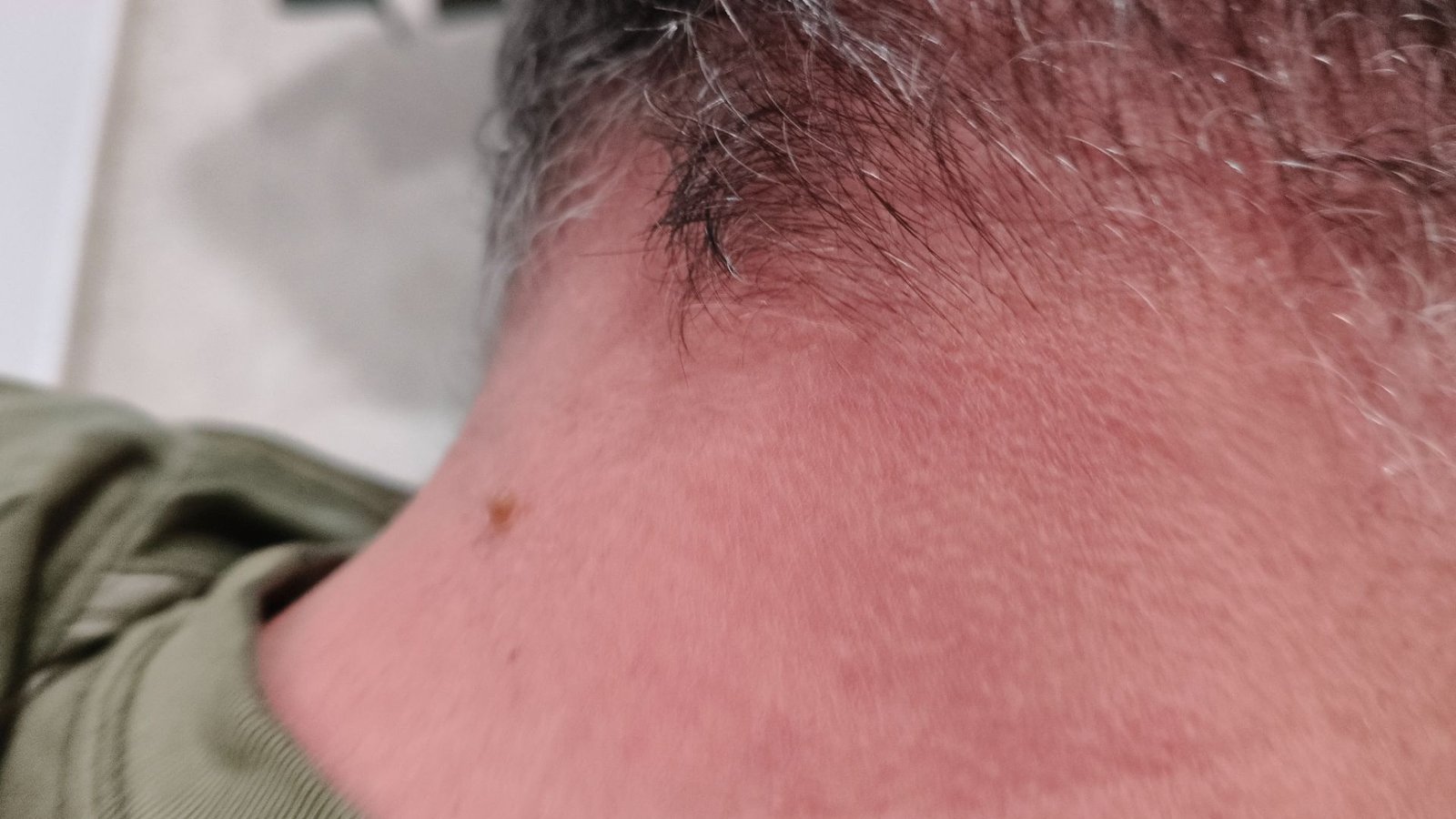 Perro Negro perdido en Passatge particular d\'Escorca, El Rafal Nou, Palma